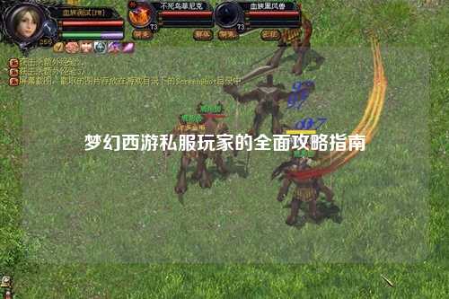 梦幻西游私服玩家的全面攻略指南