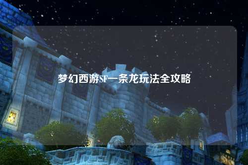 梦幻西游SF一条龙玩法全攻略