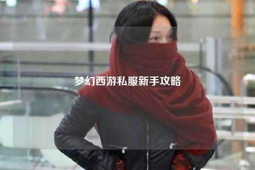 梦幻西游私服新手攻略