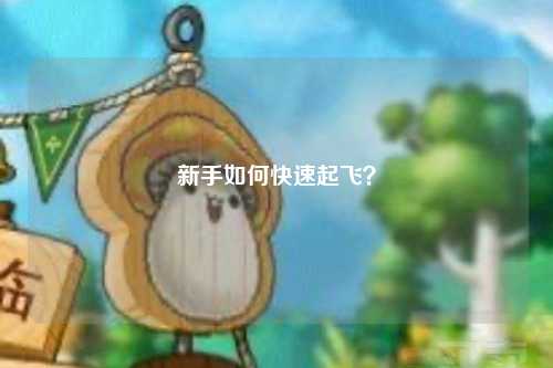新手如何快速起飞?