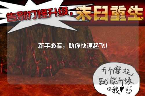 新手必看,助你快速起飞!