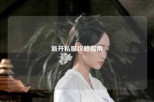 新开私服攻略指南