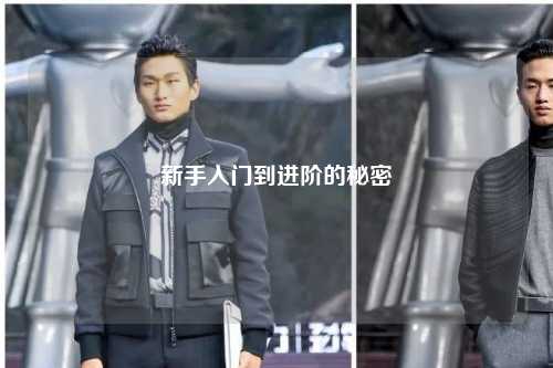 新手入门到进阶的秘密