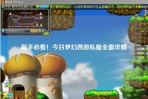新手必看!今日梦幻西游私服全面攻略