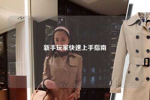 新手玩家快速上手指南