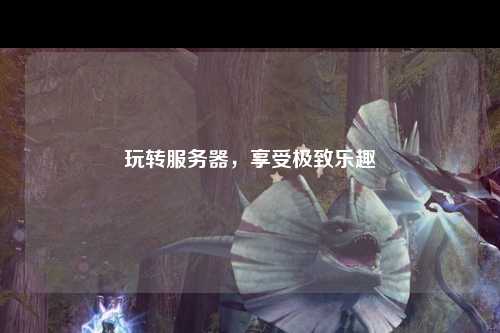 玩转服务器,享受极致乐趣