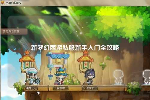 新梦幻西游私服新手入门全攻略