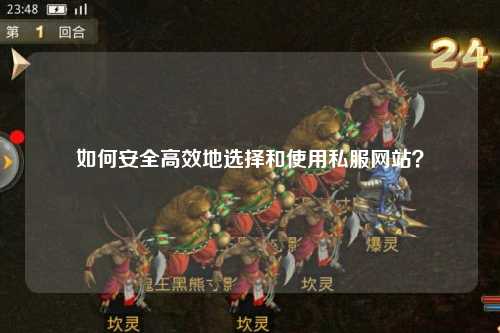 如何安全高效地选择和使用私服网站？