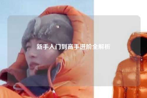 新手入门到高手进阶全解析