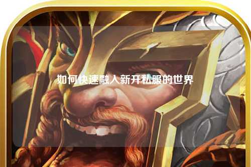 如何快速融入新开私服的世界