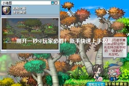 刚开一秒SF玩家必看!新手快速上手攻略