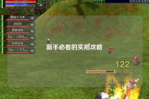 新手必看的实用攻略