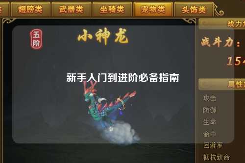 新手入门到进阶必备指南