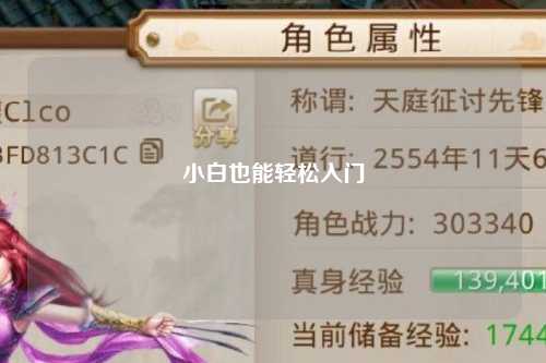 小白也能轻松入门