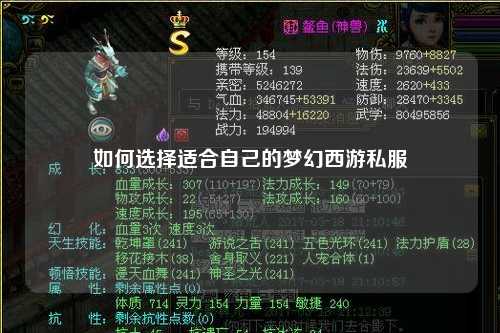 如何选择适合自己的梦幻西游私服