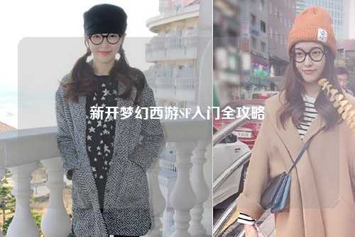 新开梦幻西游SF入门全攻略