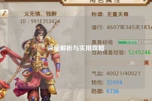 深度解析与实用攻略