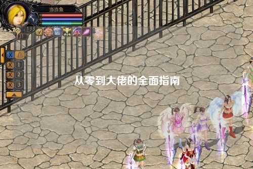 从零到大佬的全面指南