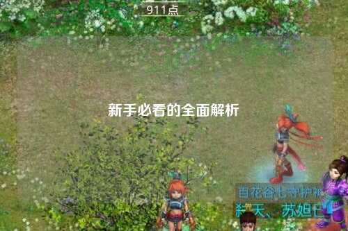 新手必看的全面解析