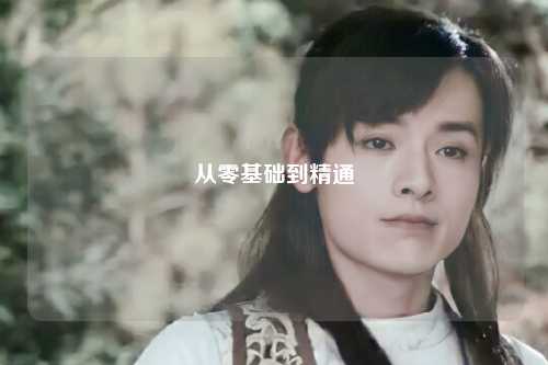 从零基础到精通