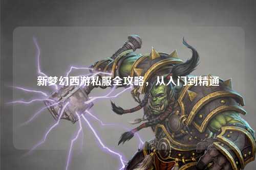 新梦幻西游私服全攻略,从入门到精通