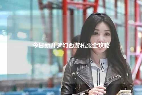 今日新开梦幻西游私服全攻略