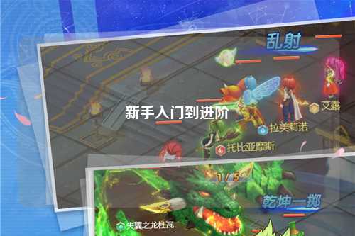 新手入门到进阶