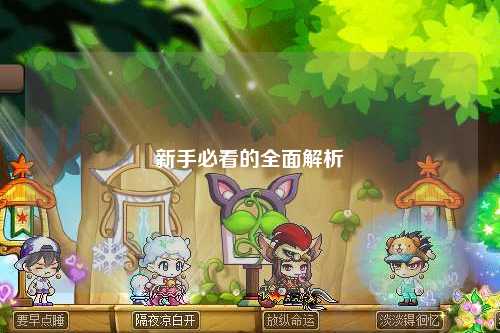 新手必看的全面解析