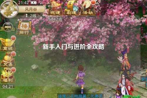 新手入门与进阶全攻略