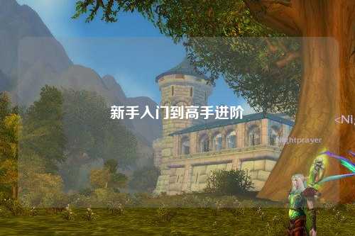 新手入门到高手进阶