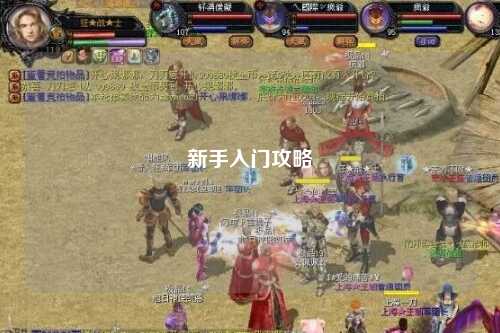新手入门攻略