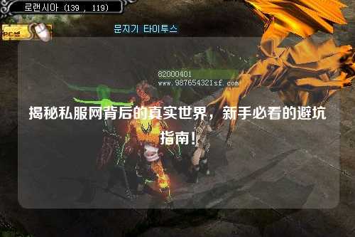 揭秘私服网背后的真实世界,新手必看的避坑指南!