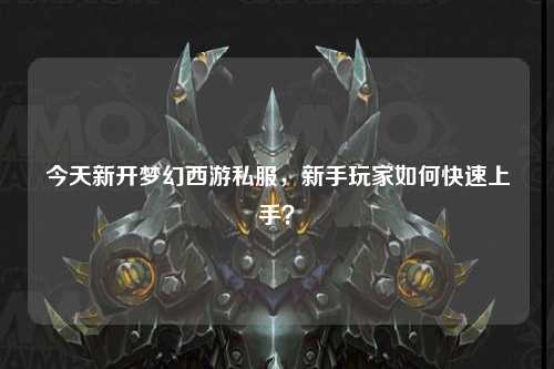 今天新开梦幻西游私服，新手玩家如何快速上手？